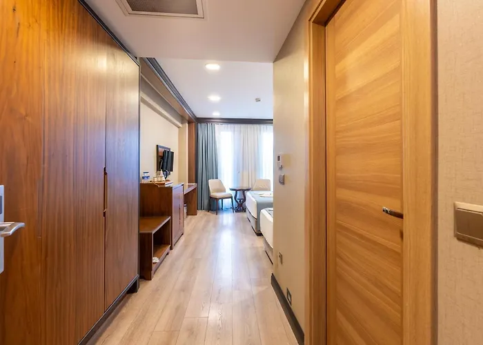 Valens Downtown Hotel Estambul