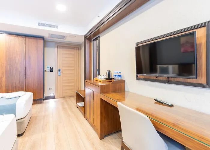 Valens Downtown Hotel Estambul