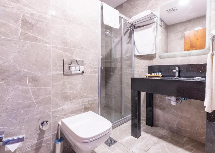 Hotel Valens Downtown 4*