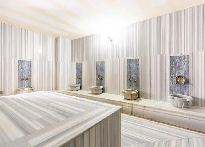 Hotel Valens Downtown Estambul