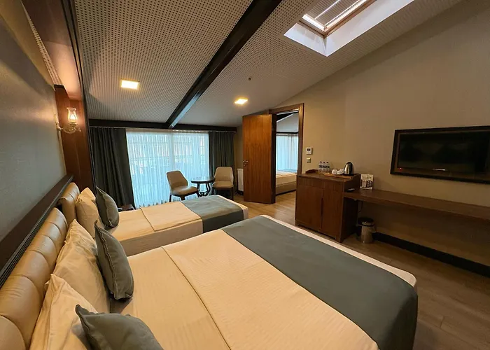 Valens Downtown Hotel