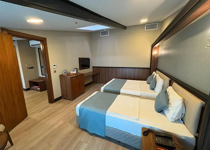 Hotel Valens Downtown 4*