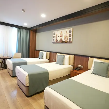 Valens Downtown 호텔 4*